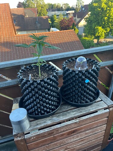 Growreport Bild 11