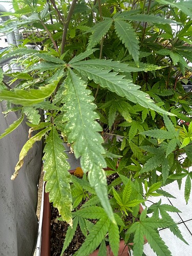 Growreport Bild 18