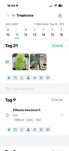 Growreport Bild 9