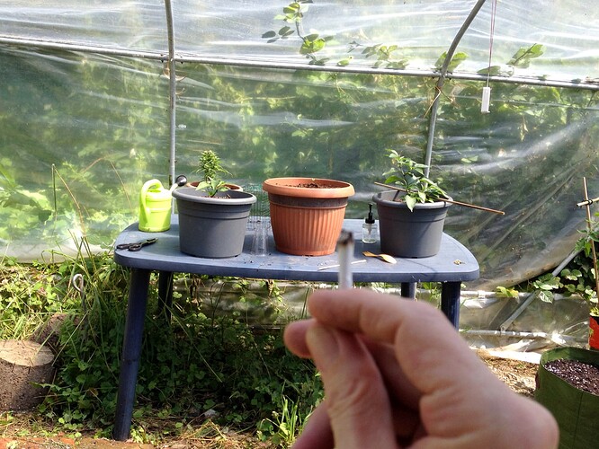 Growreport Bild 32