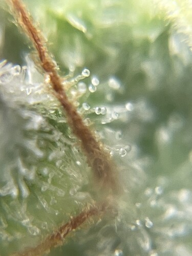 Growreport Bild 14