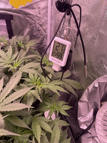 Growreport Bild 3