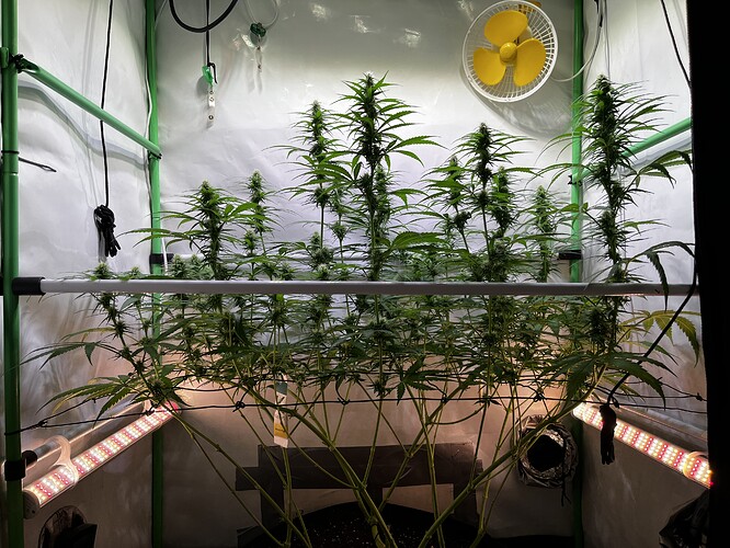 Growreport Bild 2