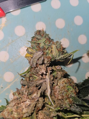 Growreport Bild 10