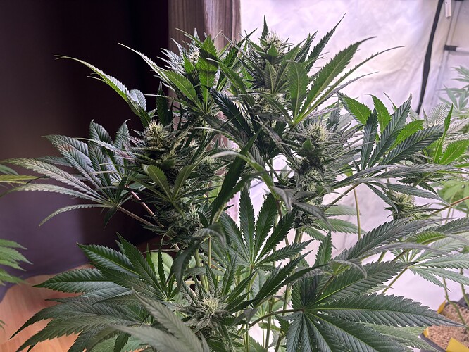 Growreport Bild 9