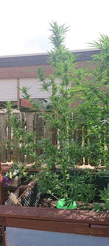 Growreport Bild 19