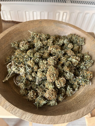 Growreport Bild 2