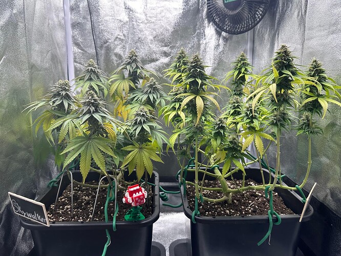 Growreport Bild 18