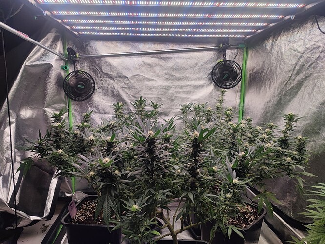 Growreport Bild 23