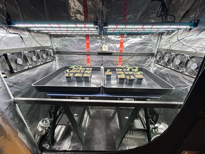 Growreport Bild 16