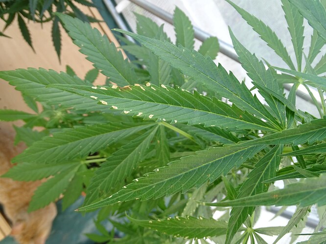 Growreport Bild 4