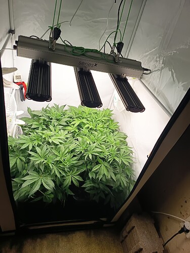 Growreport Bild 4