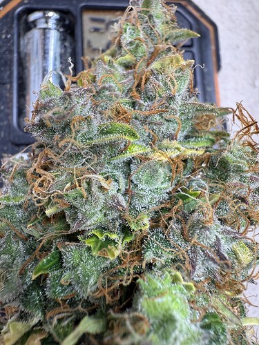 Growreport Bild 10