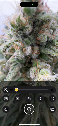 Growreport Bild 6