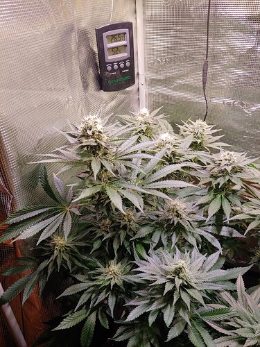 Growreport Bild 17