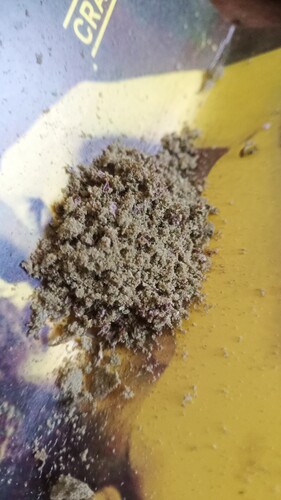 IMG_20240905_163855_533