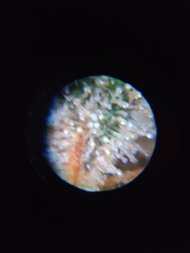 Growreport Bild 27