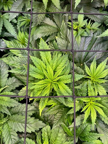 Growreport Bild 10