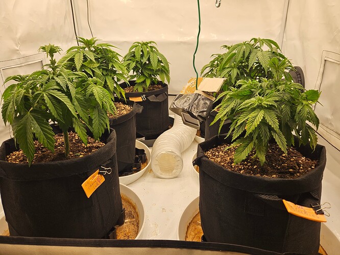 Growreport Bild 14