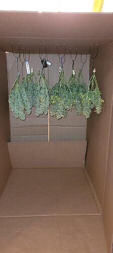 signal-2024-04-16-19-03-22-779