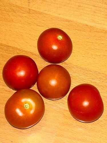 Growreport Bild 77