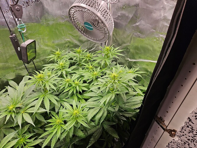 Growreport Bild 5