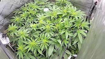 picture_20250201_220001