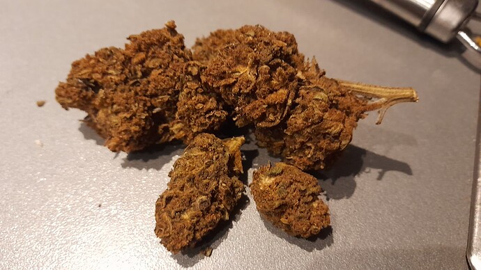 Growreport Bild 5