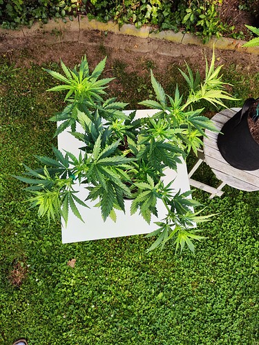 Growreport Bild 24