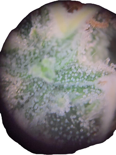 Growreport Bild 2