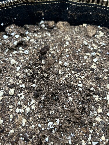 Growreport Bild 2