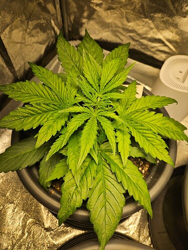 Growreport Bild 26