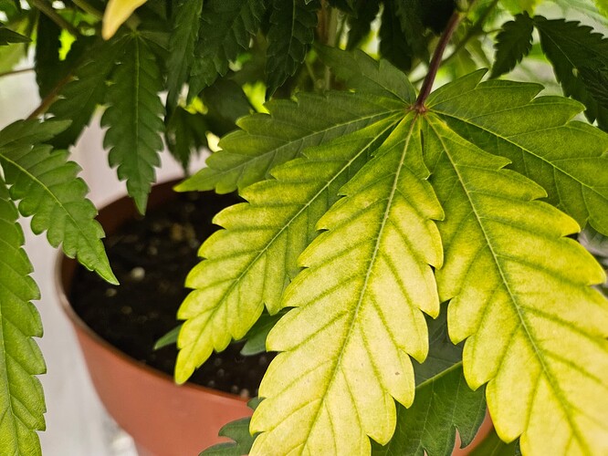 20241223_175936 - Kopie