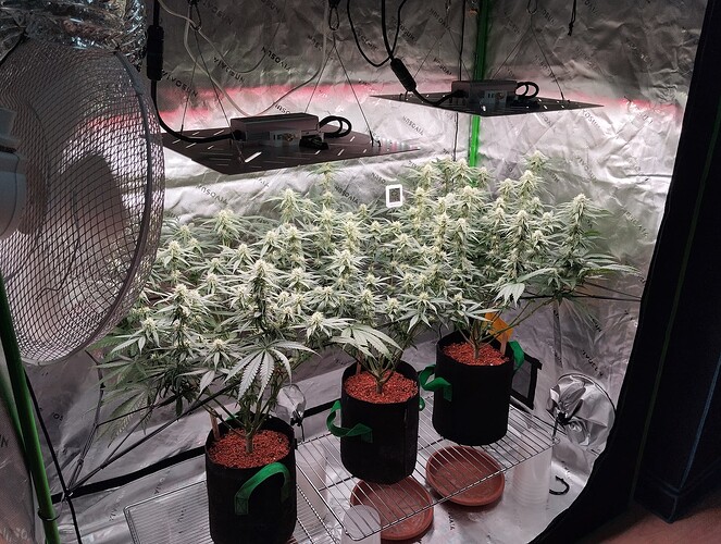 Growreport Bild 1