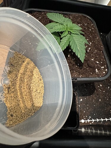 Growreport Bild 2