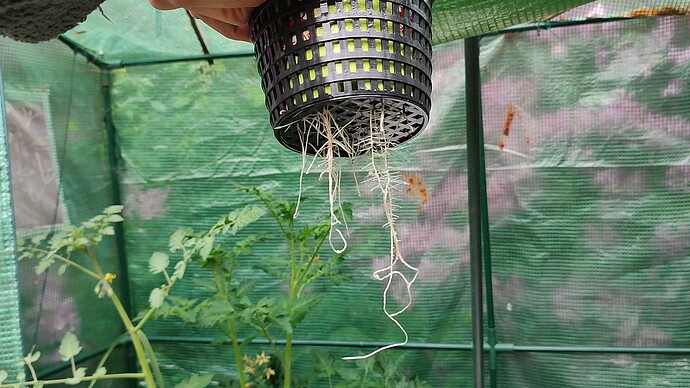 Growreport Bild 1