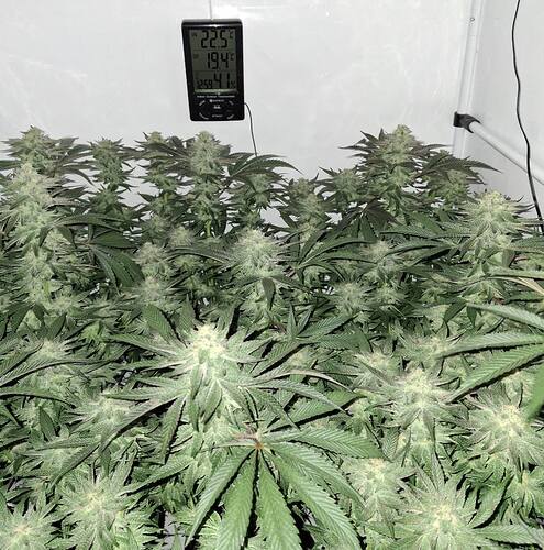 476350838_122167230026293599_6650852408123730567_n