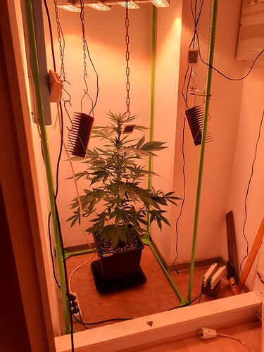 Growreport Bild 55