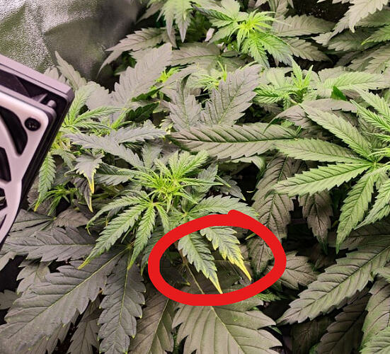 Screenshot 2026-04-27 210136