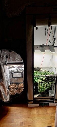 Growreport Bild 6