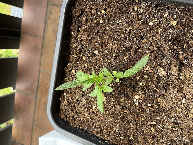 Growreport Bild 10