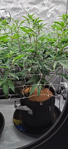 Growreport Bild 2