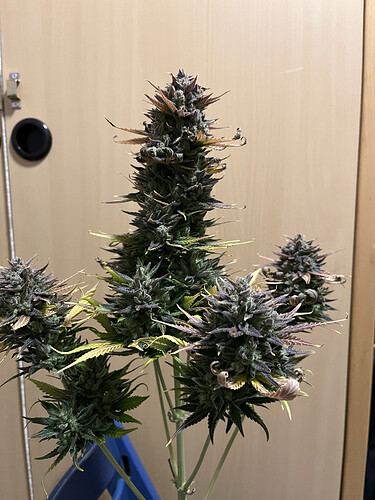 Growreport Bild 10