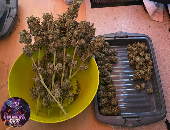 Growreport Bild 82