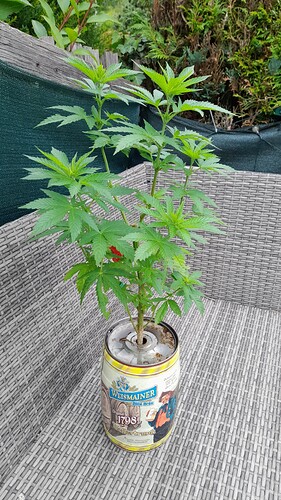 Growreport Bild 5