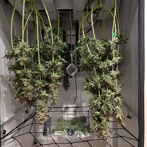 Growreport Bild 1