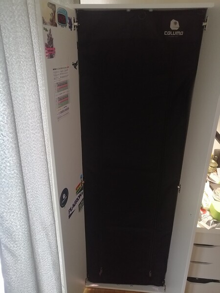 1. Stealthgrow im Caluma Readymade 100 // geerntet