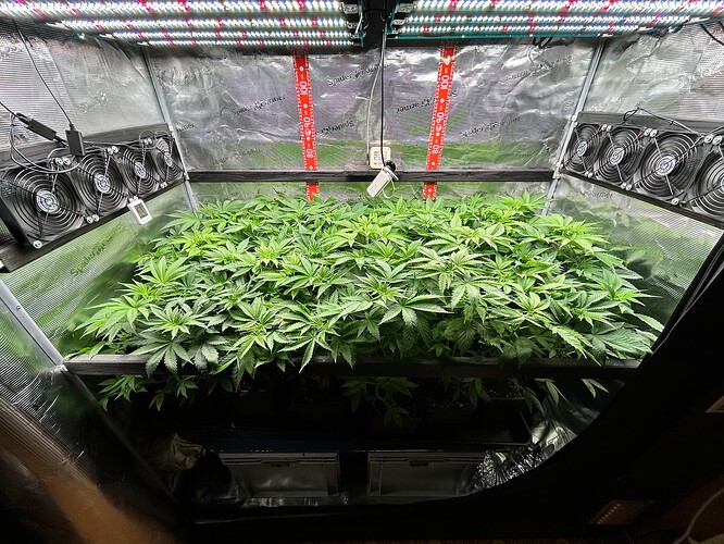 Growreport Bild 8