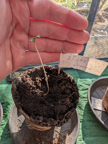 PXL_20250401_154004943