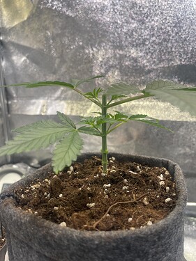 Growreport Bild 7